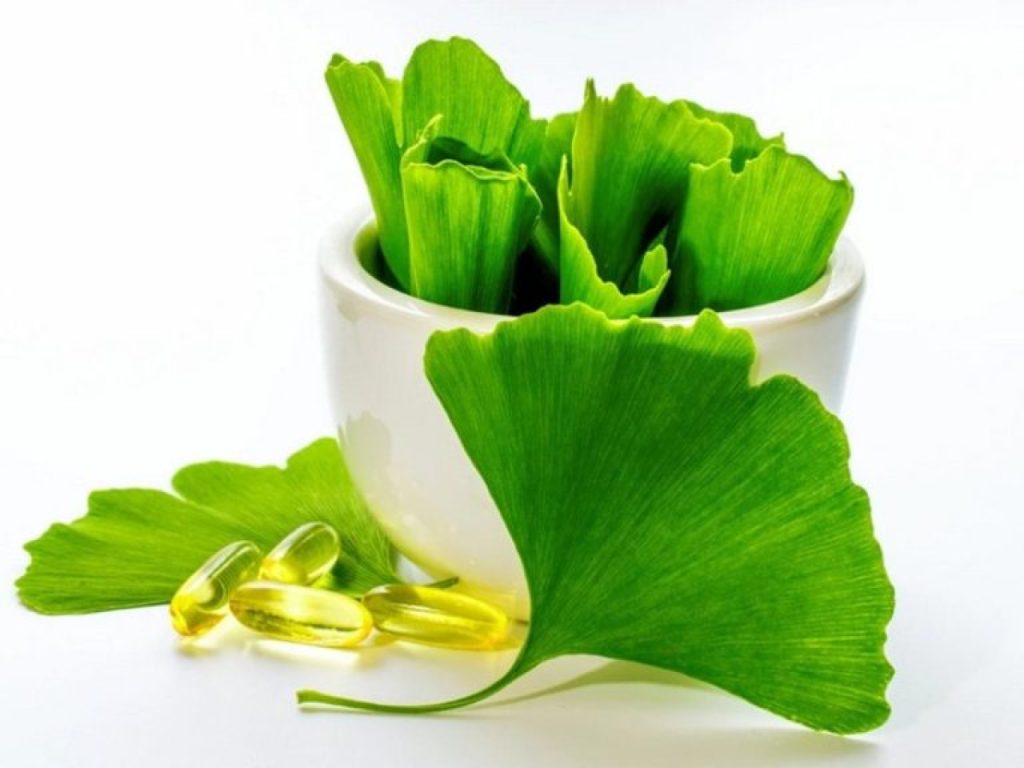 Ginkgo biloba prehransko dopolnilo poveča pretok krvi v možganih