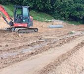 Kakšna je cena zelene škarpe? zelene-brezine-1