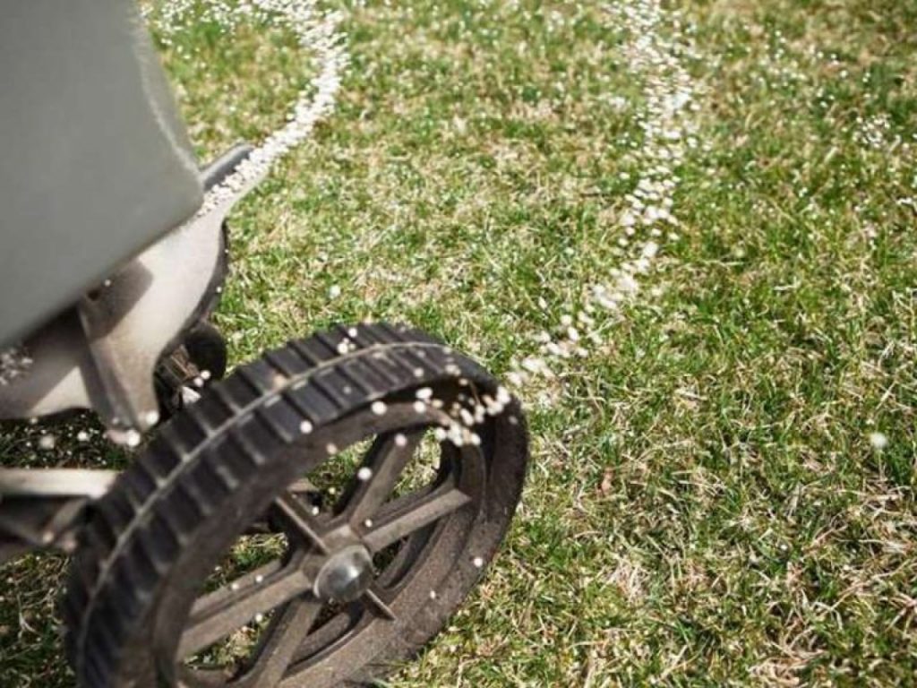 Gnojilo za travo zagotavlja bujnejšo, zelenjšo in bolj enakomerno trave